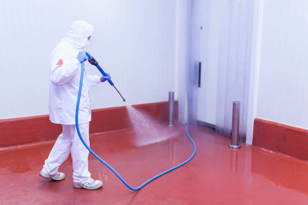 Professional Pressure Washing Services in Loves Park, IL